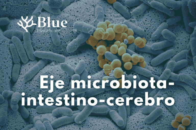 Bacterias intestinales vistas al microscopio que forman parte de la microbiota humana