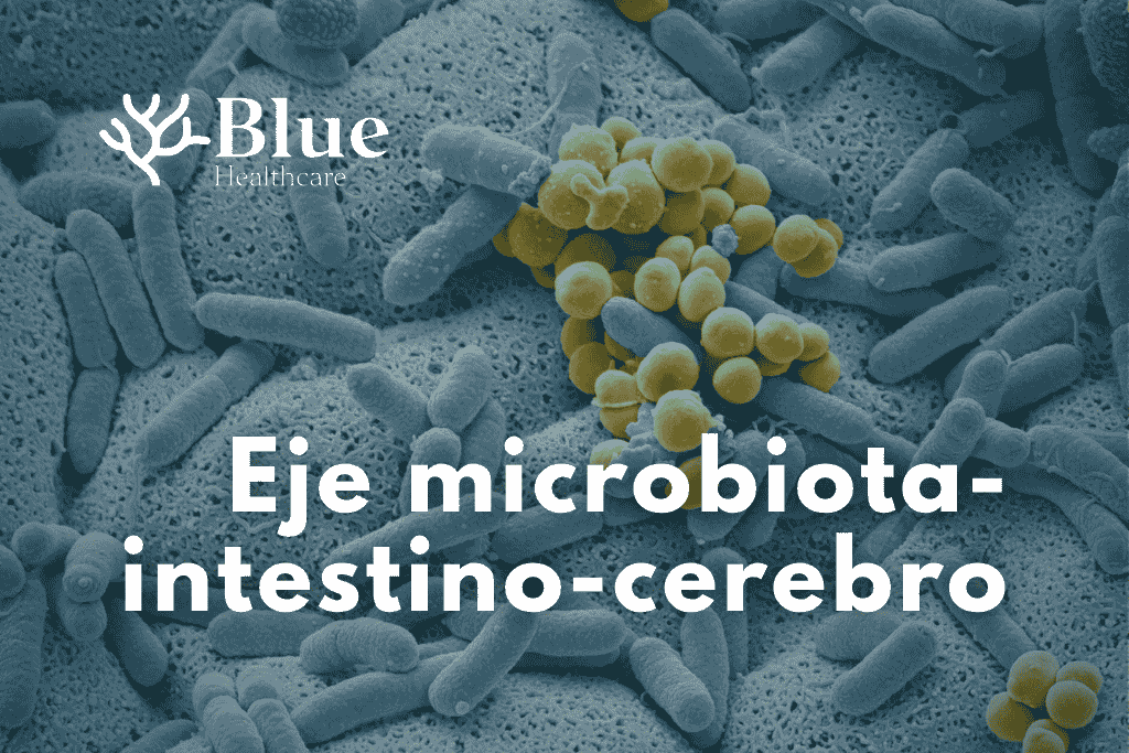 Bacterias intestinales vistas al microscopio que forman parte de la microbiota humana