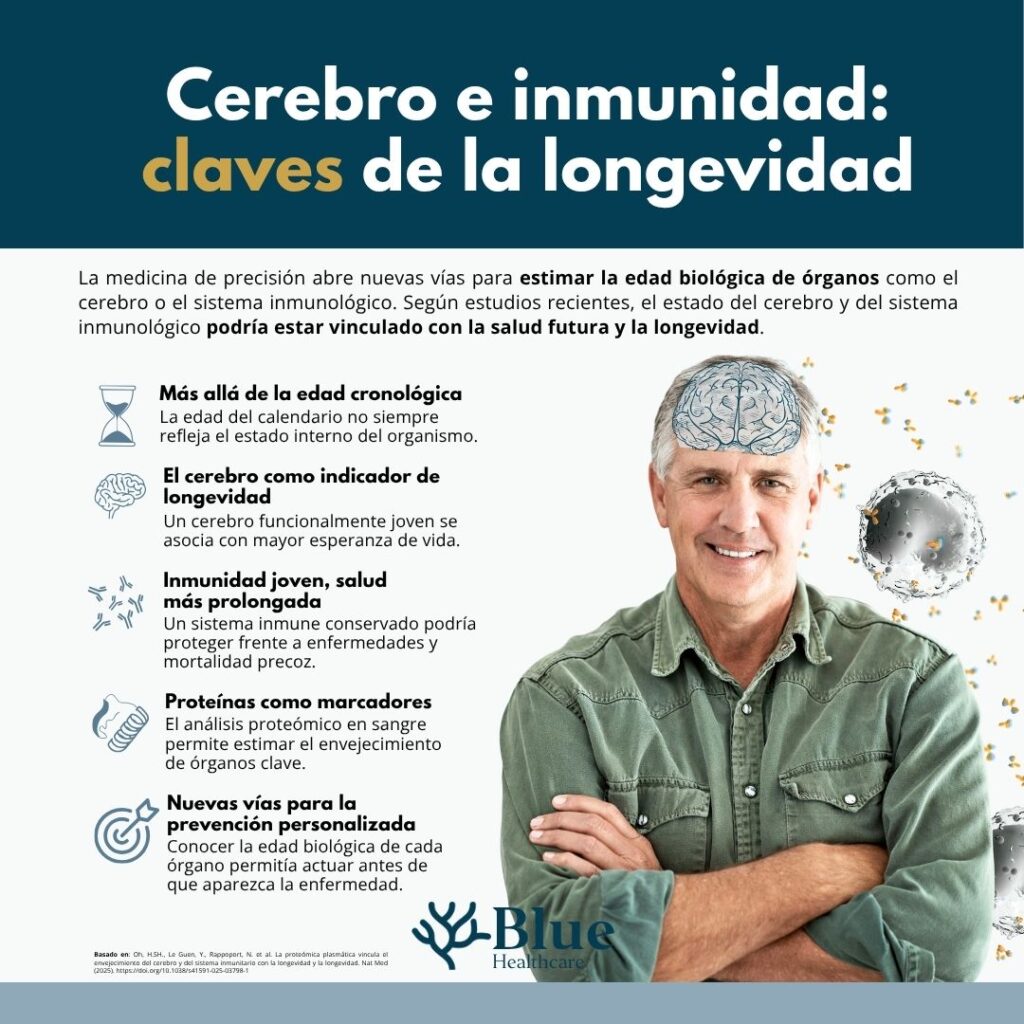 Infografía sobre la relación entre longevidad, cerebro joven, sistema inmune y edad biológica