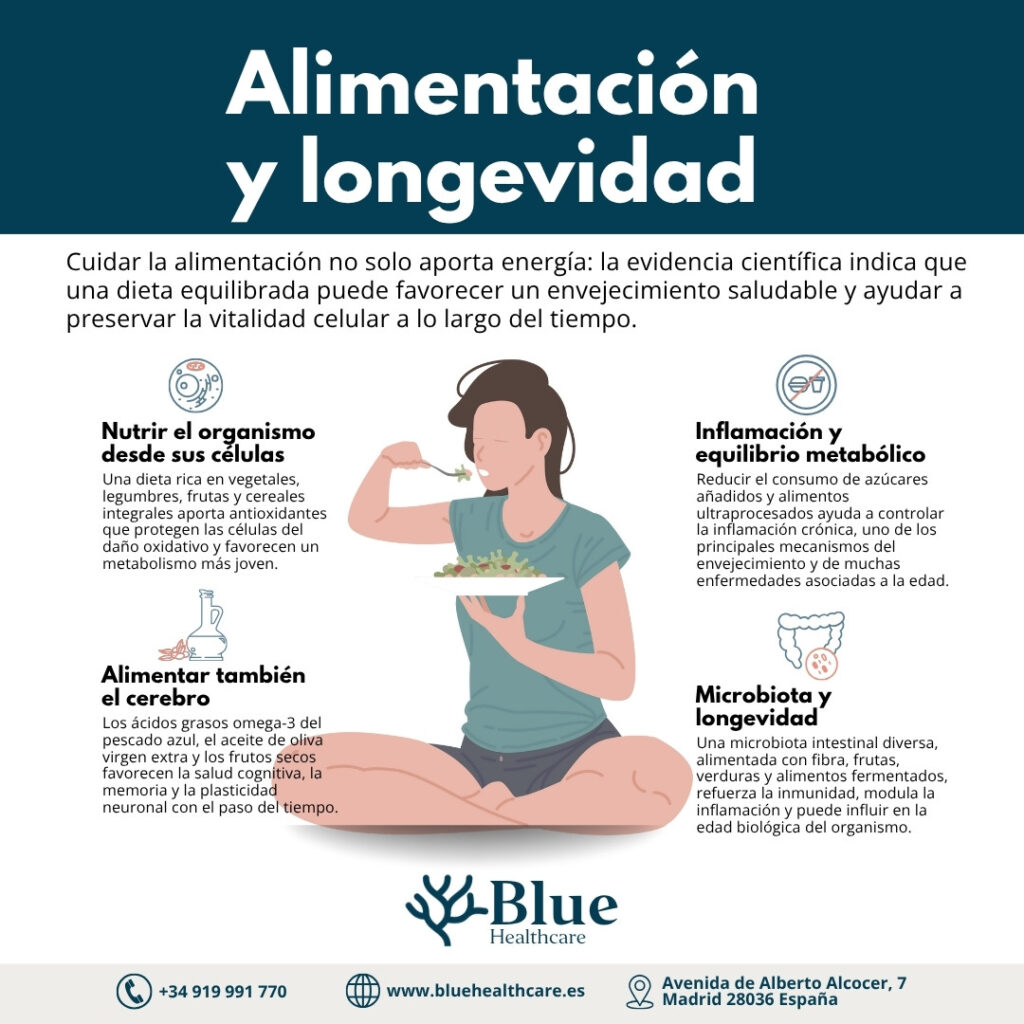 Infografía educativa que muestra cómo la alimentación influye en la longevidad. Explica la relación entre dieta, inflamación, microbiota, metabolismo y salud cerebral, con ilustraciones de alimentos saludables y mensajes claros para promover un envejecimiento activo y equilibrado.