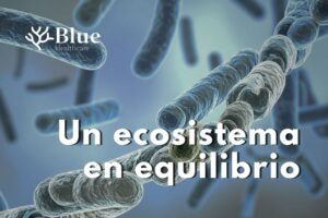 Ilustración científica de microorganismos que forman la microbiota intestinal como un ecosistema en equilibrio.