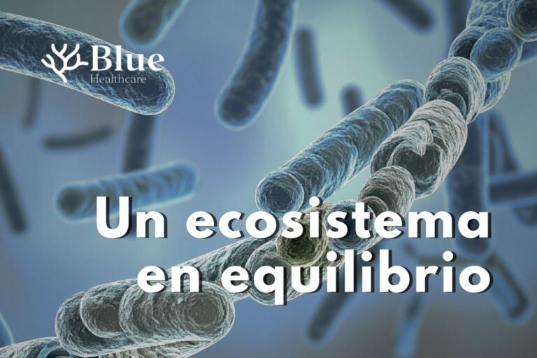Ilustración científica de microorganismos que forman la microbiota intestinal como un ecosistema en equilibrio.